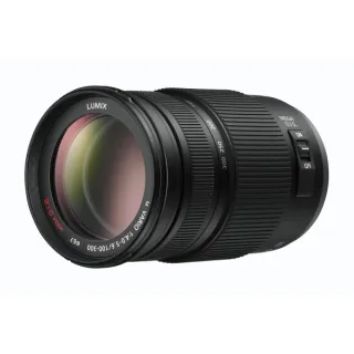 Panasonic H-FS100300E Telephoto Zoom Lens 45-175mm F4.0 Aperture POWER O.I.S.